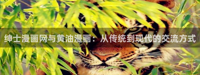 漫蛙manwa免费