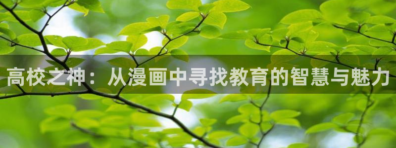 manwa漫蛙2最新版的功能介绍
