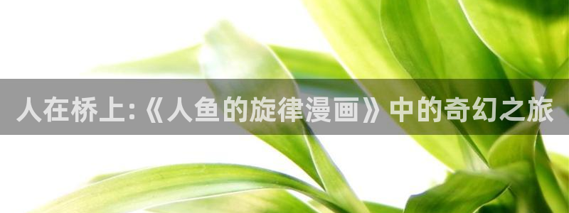 怎样下载漫蛙