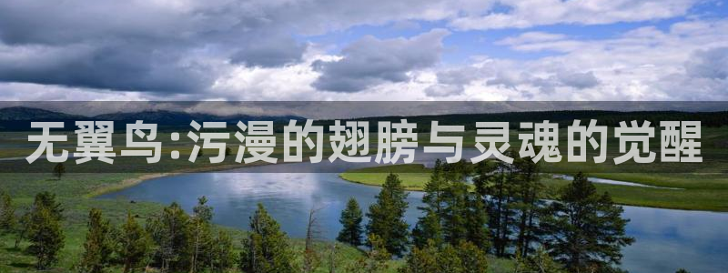 漫蛙正版app长什么样