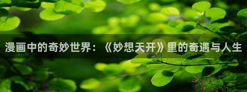 漫蛙网站网址