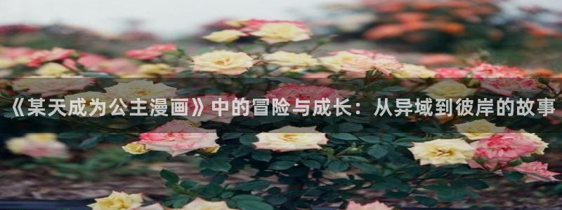 漫蛙在线官网
