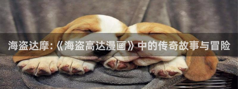 漫蛙manwa在线：海盗达摩:《海盗高达漫画》中的传奇故事与冒险