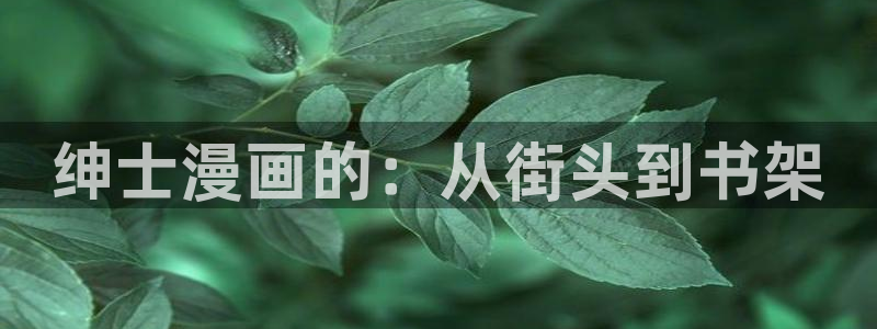 reweiyun,漫蛙