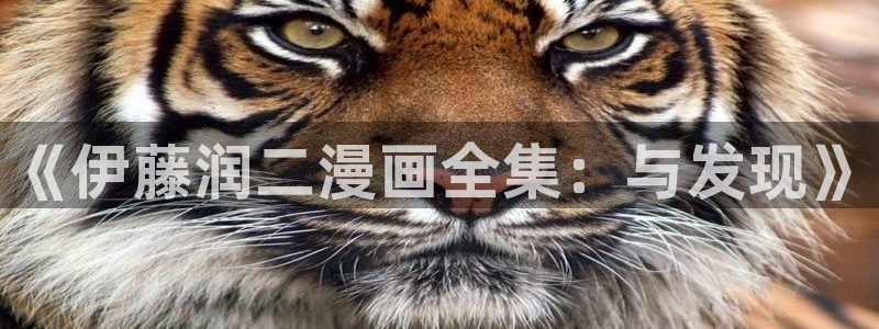漫蛙官网入口安卓