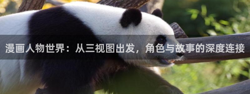漫蛙有