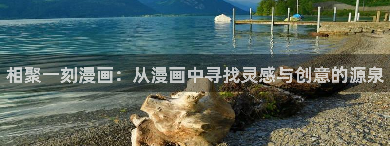 漫蛙宝贝：相聚一刻漫画：从漫画中寻找灵感与创意的源泉