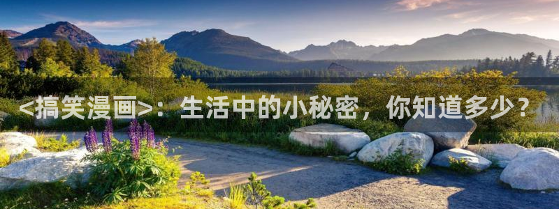 漫蛙漫画网站永久入口2024：<搞笑漫画>：生活中的小秘密，你知道多少？