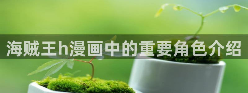 www.漫蛙漫画：海贼王h漫画中的重要角色介绍