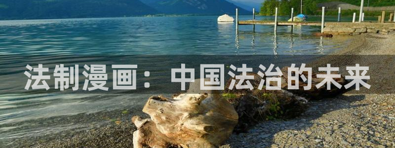 漫蛙下载正版最新版：法制漫画：中国法治的未来