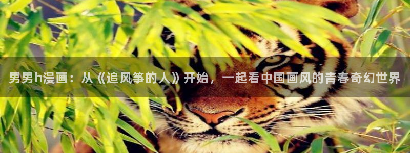 漫蛙manwa2下载苹果：男男h漫画：从《追风筝的人》开始，一起看中国画风的青春奇幻世界