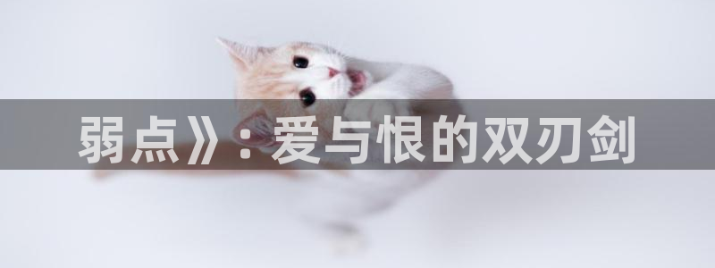 漫蛙漫画登录网页：弱点》: 爱与恨的双刃剑