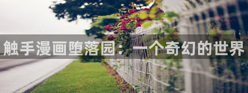 漫蛙l：触手漫画堕落园：一个奇幻的世界