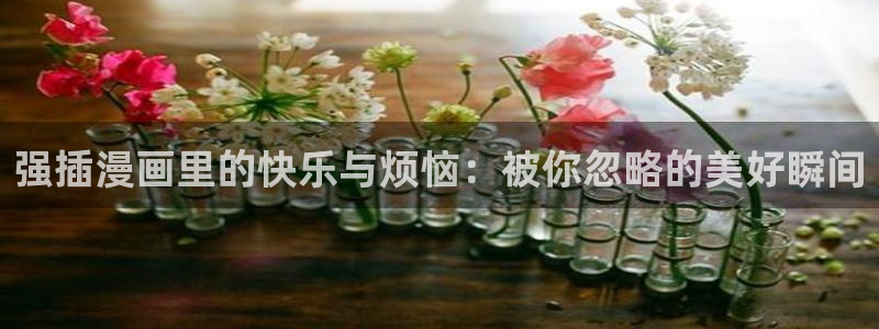 漫蛙漫画(网页入口)manwa