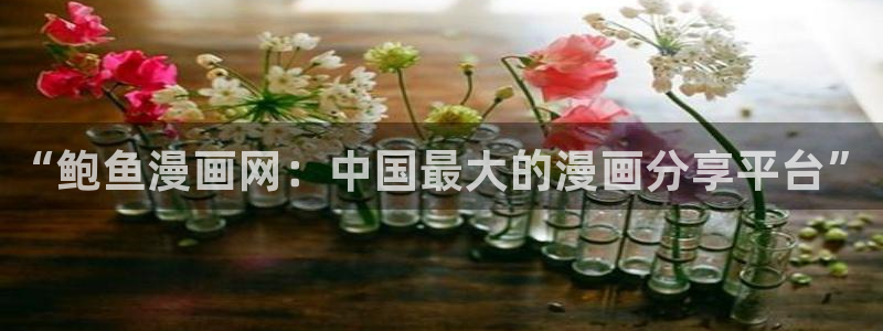 漫蛙在哪里下载