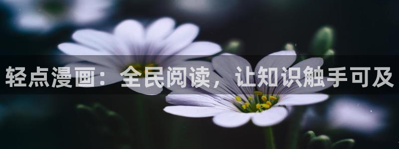 漫蛙漫画官网网站