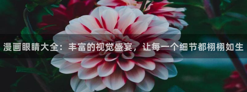漫蛙0：漫画眼睛大全：丰富的视觉盛宴，让每一个细节都栩栩如生