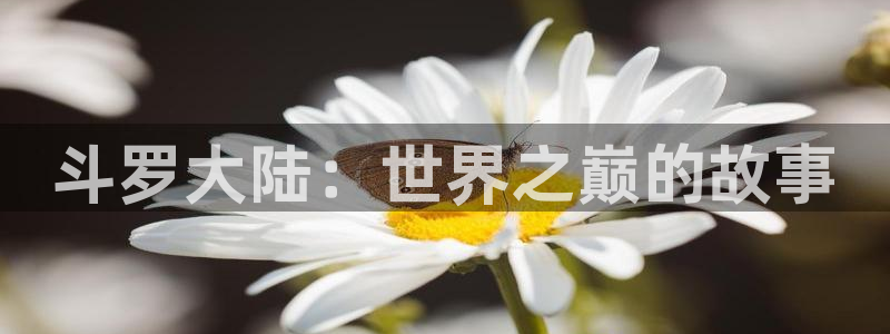 漫蛙漫画链接入口：斗罗大陆：世界之巅的故事