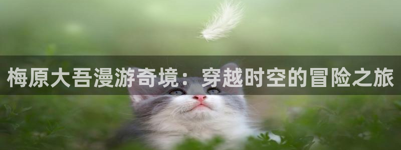 漫蛙manwa漫画：梅原大吾漫游奇境：穿越时空的冒险之旅