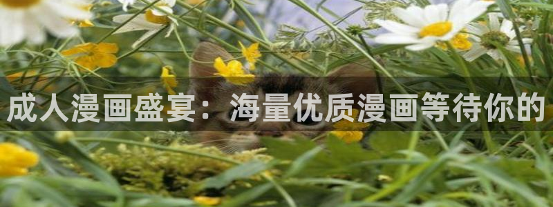 https漫蛙：成人漫画盛宴：海量优质漫画等待你的