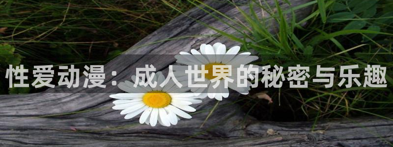 漫蛙18
