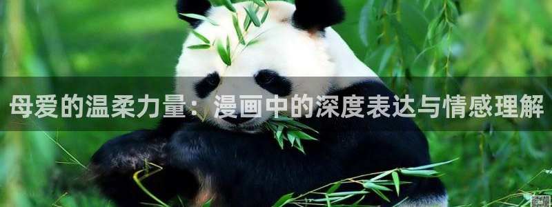 漫蛙app正版下载