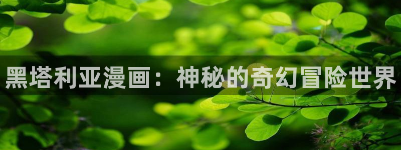 漫蛙卡