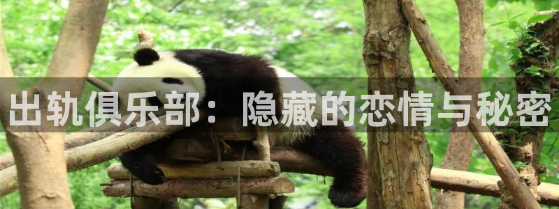 漫蛙正版下载：出轨俱乐部：隐藏的恋情与秘密