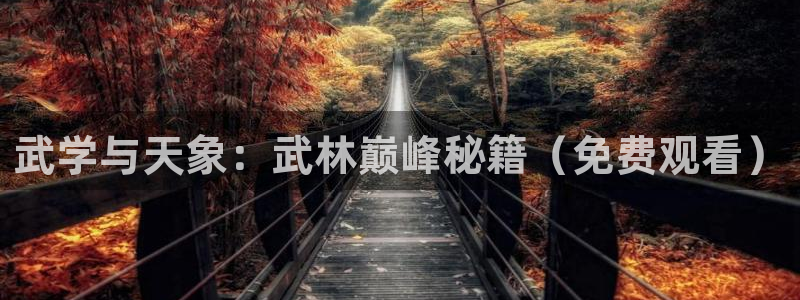 漫蛙漫画在线看：武学与天象：武林巅峰秘籍（免费观看）