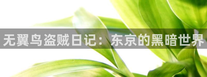 漫蛙动漫官方网页入口：无翼鸟盗贼日记：东京的黑暗世界